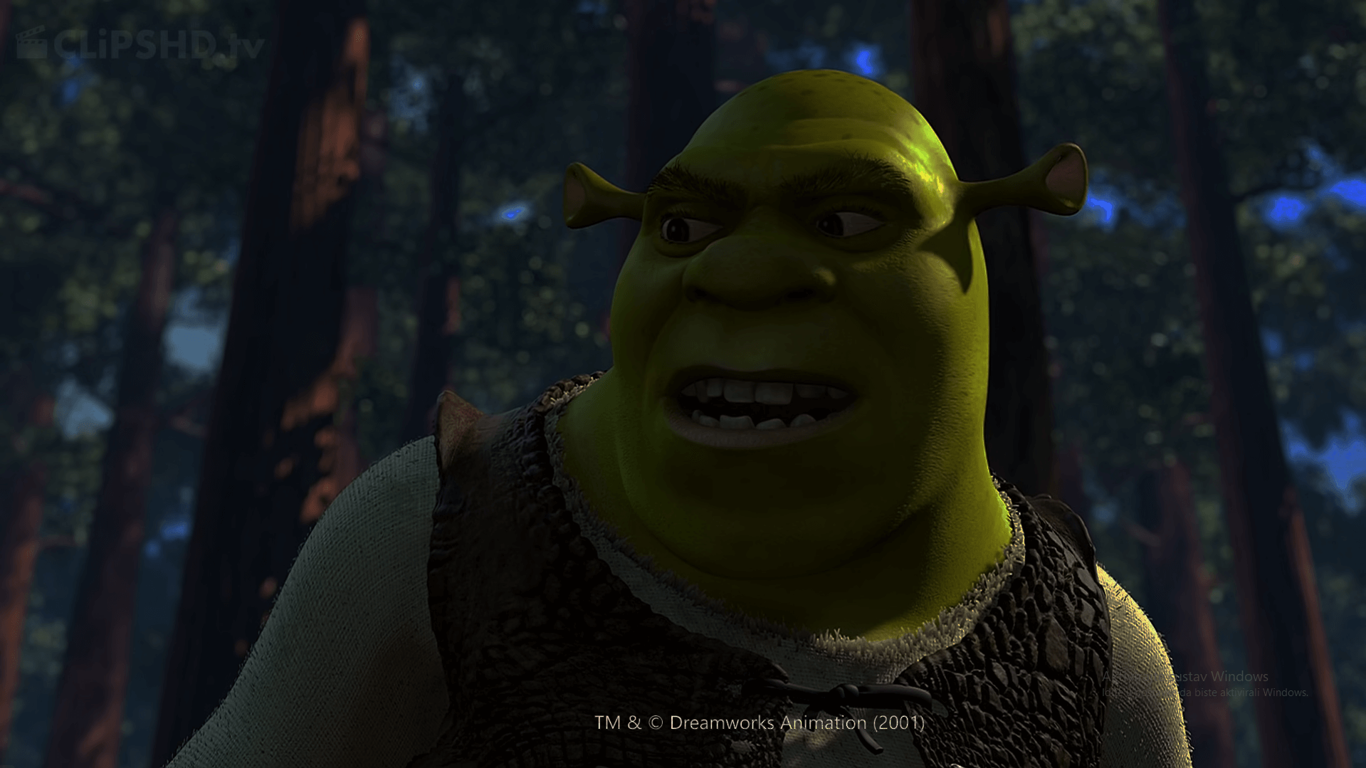 shrek 1 off